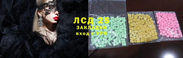 стаф Медногорск