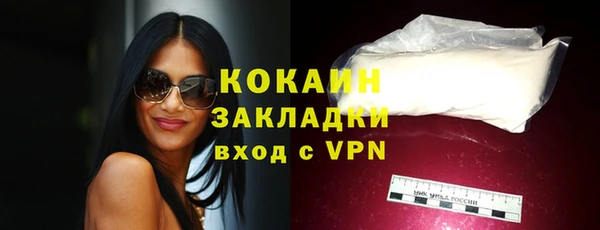 стаф Медногорск