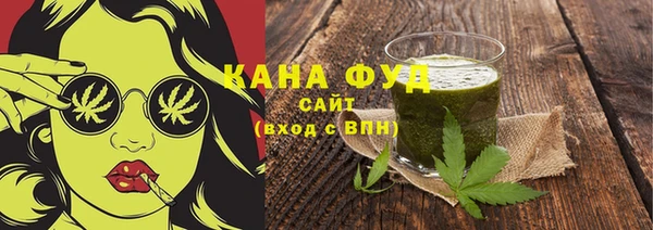 стаф Медногорск