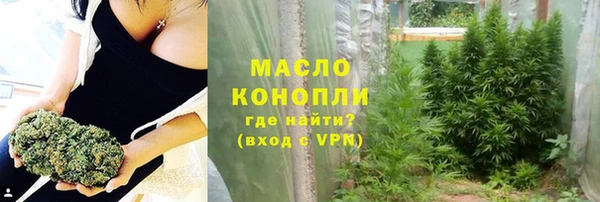 стаф Медногорск