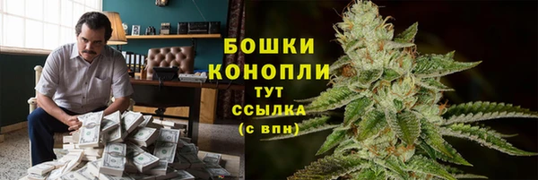 герыч Мегион