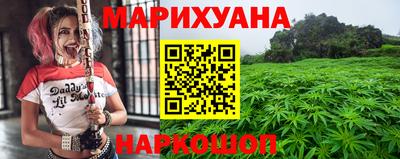 apvp Краснодар