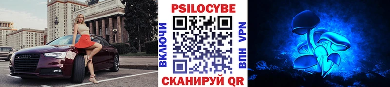 где найти   Печора  Псилоцибиновые грибы Cubensis 