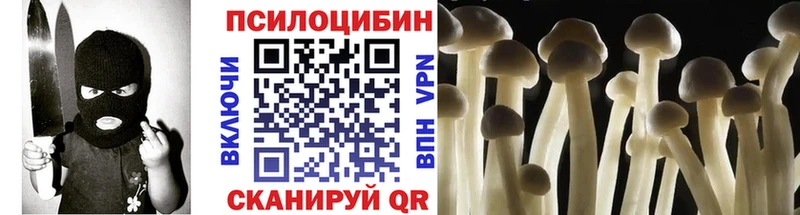 Псилоцибиновые грибы Psilocybe Печора