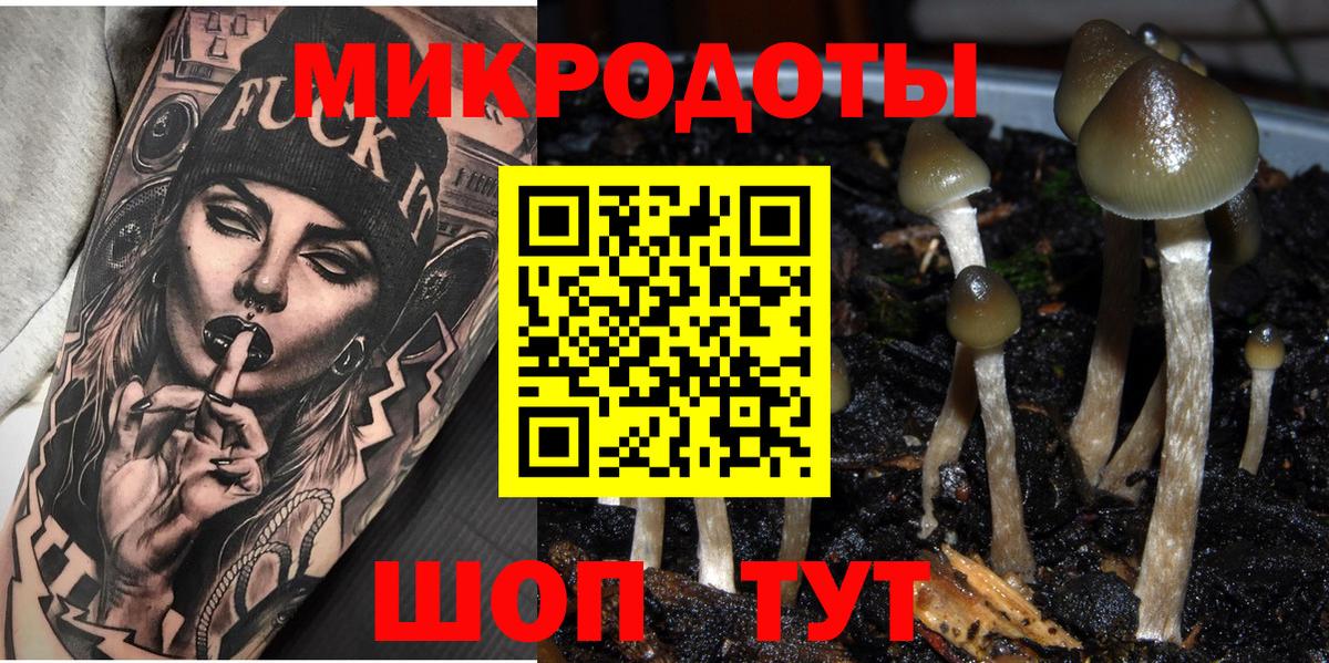 Печора  Галлюциногенные грибы Cubensis  Вход с VPN 
