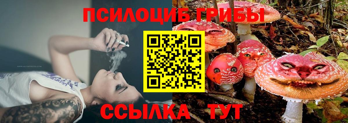 Псилоцибиновые грибы Psilocybine cubensis Печора